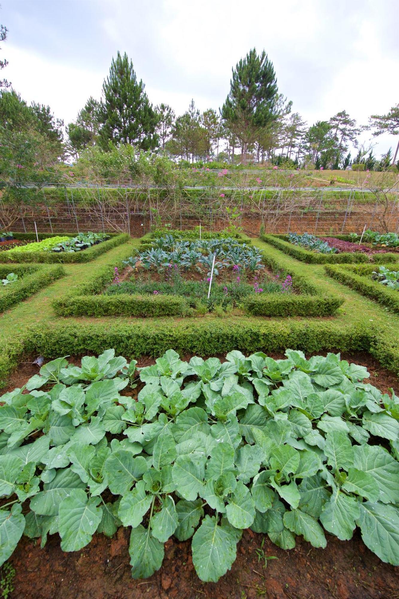 Binh An Village Resort Da Lat Buitenkant foto
